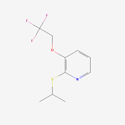 Click to see the large picture