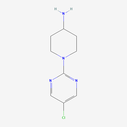 Click to see the large picture