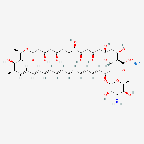 Click to see the large picture