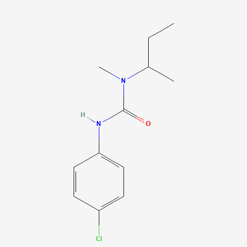 Click to see the large picture