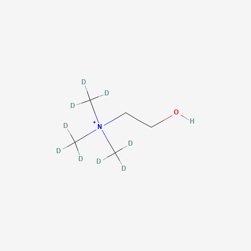 Click to see the large picture