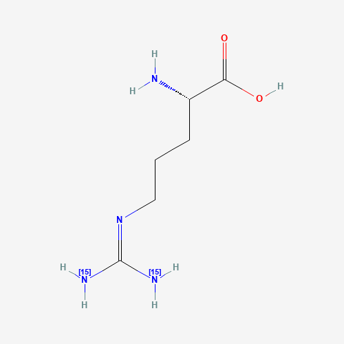 Click to see the large picture