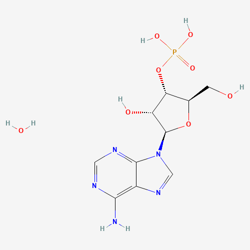 Click to see the large picture