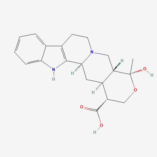 Click to see the large picture