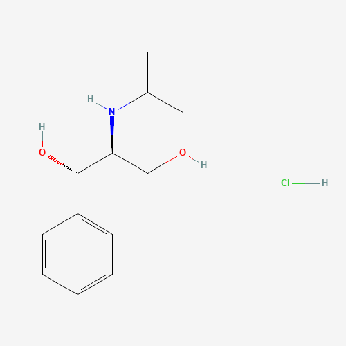 Click to see the large picture