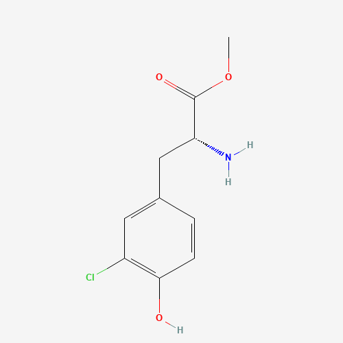 Click to see the large picture