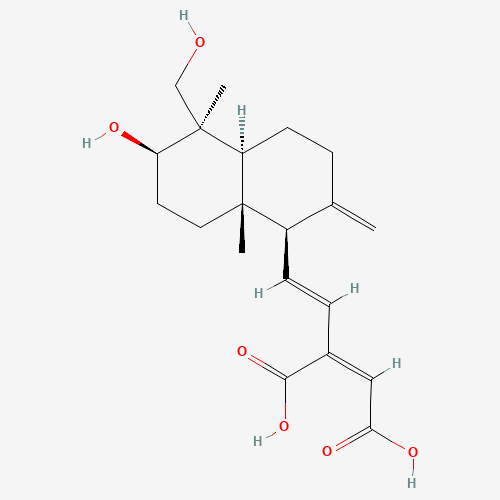 Click to see the large picture