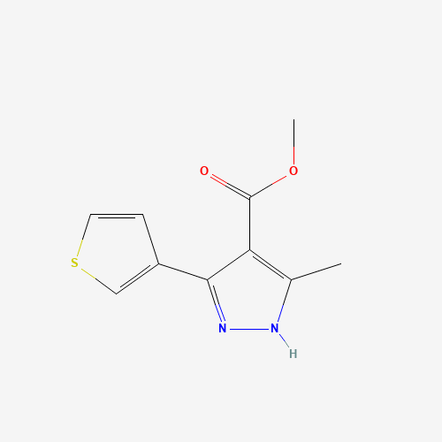 Click to see the large picture