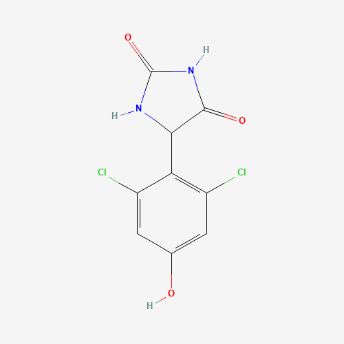 Click to see the large picture