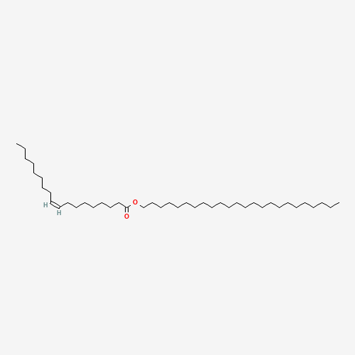 Click to see the large picture