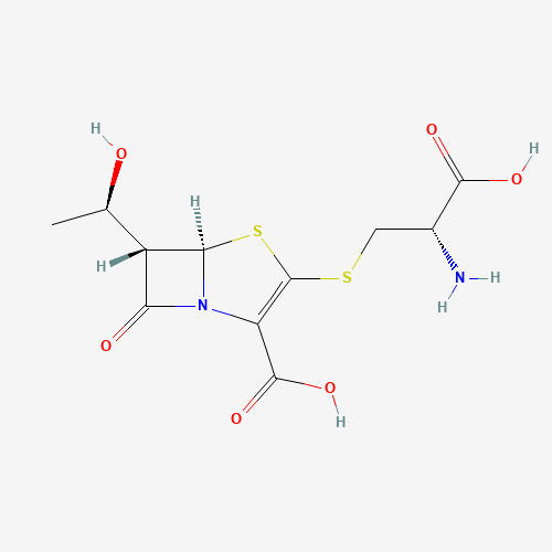 Click to see the large picture