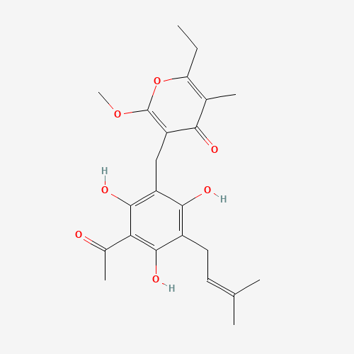 Click to see the large picture