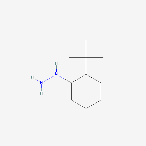 Click to see the large picture