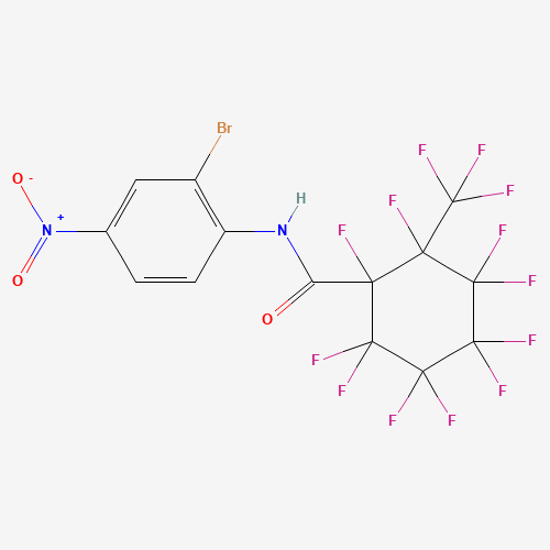 Click to see the large picture