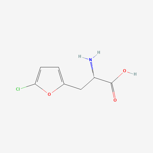 Click to see the large picture