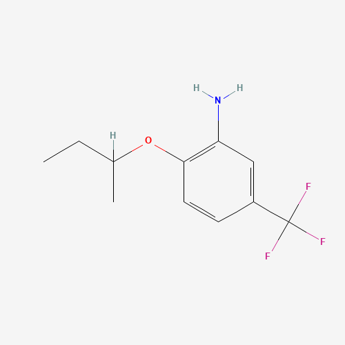 Click to see the large picture