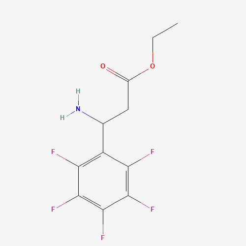 Click to see the large picture