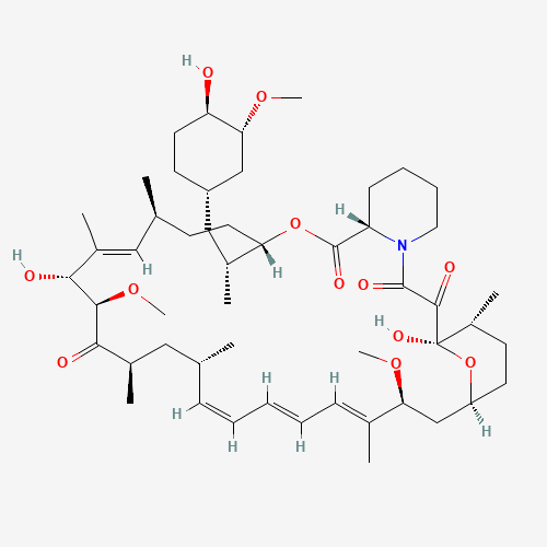 Click to see the large picture