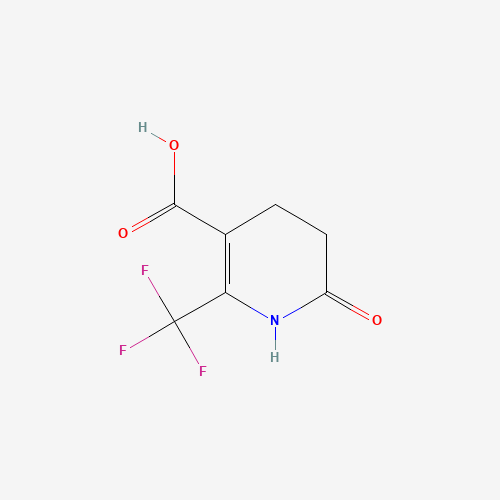 Click to see the large picture