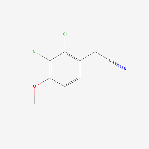 Click to see the large picture