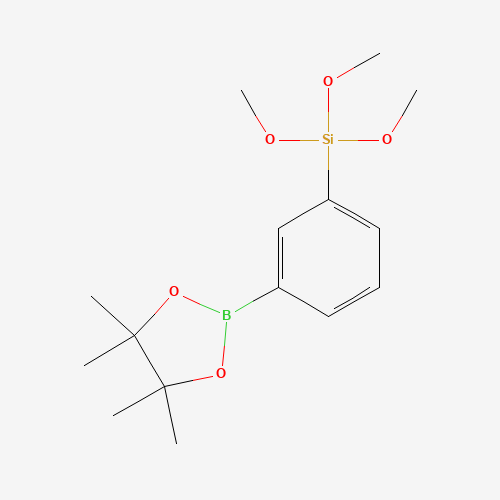 Click to see the large picture