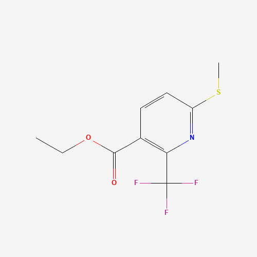 Click to see the large picture