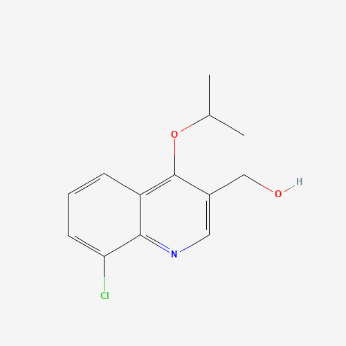 Click to see the large picture