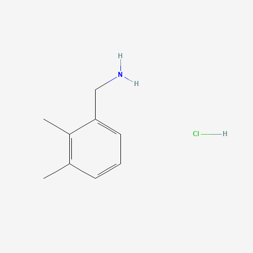 Click to see the large picture