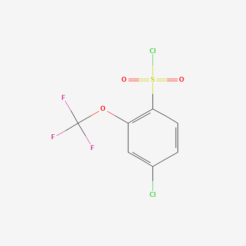 Click to see the large picture