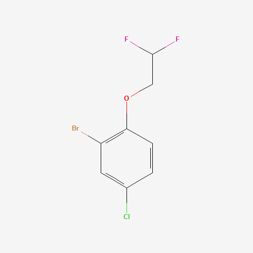 Click to see the large picture