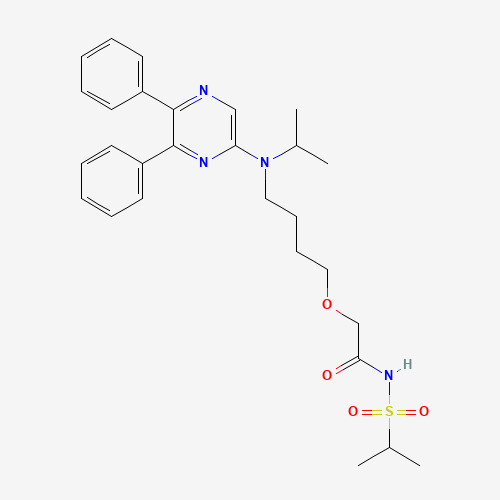 Click to see the large picture