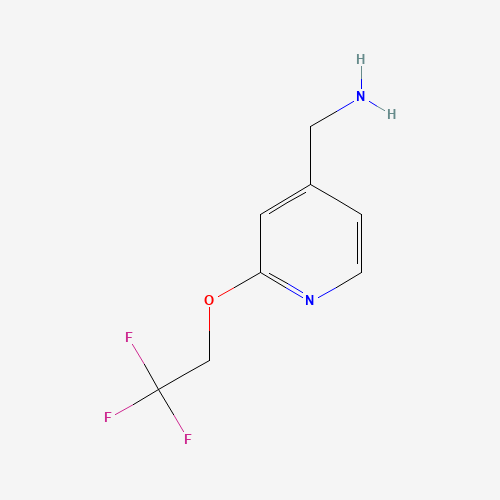 Click to see the large picture