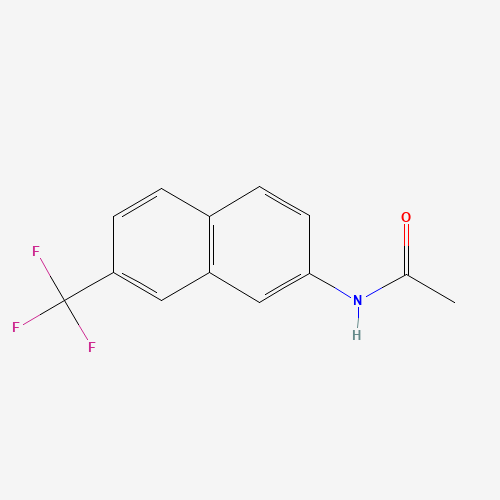 Click to see the large picture