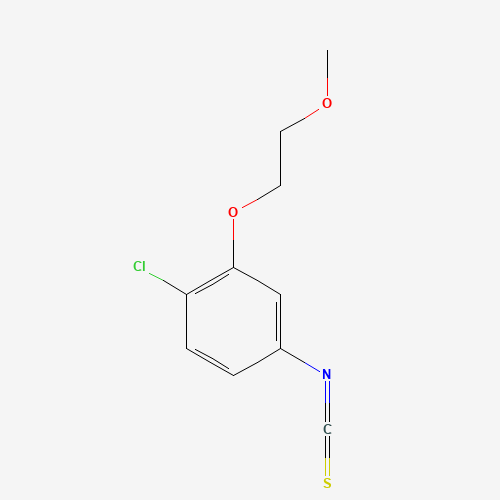 Click to see the large picture