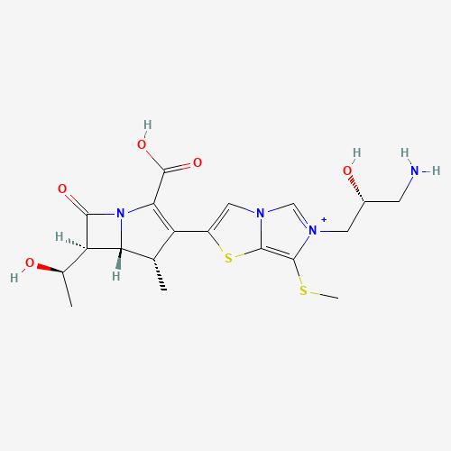 Click to see the large picture