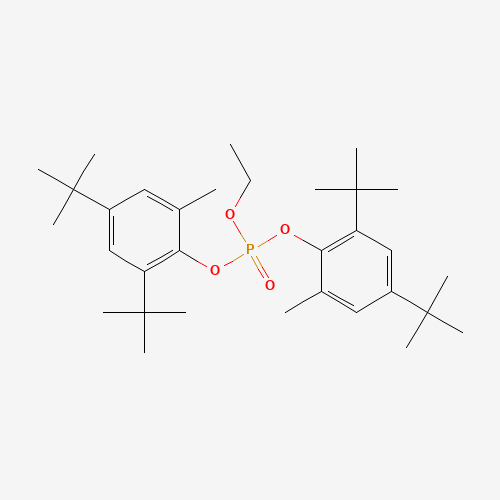 Click to see the large picture