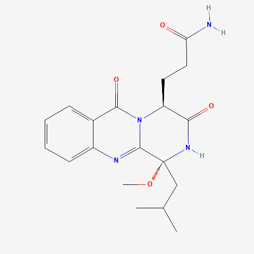 Click to see the large picture