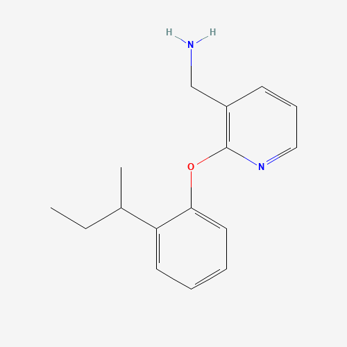 Click to see the large picture