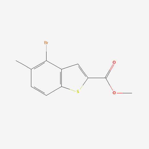 Click to see the large picture