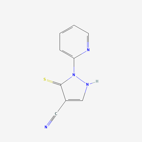 Click to see the large picture