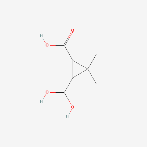 Click to see the large picture