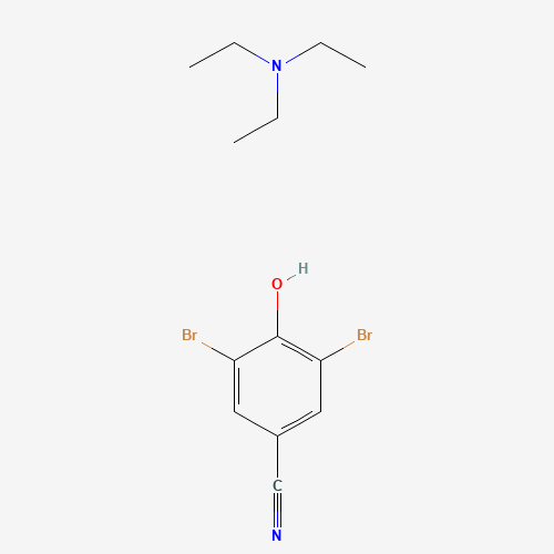 Click to see the large picture