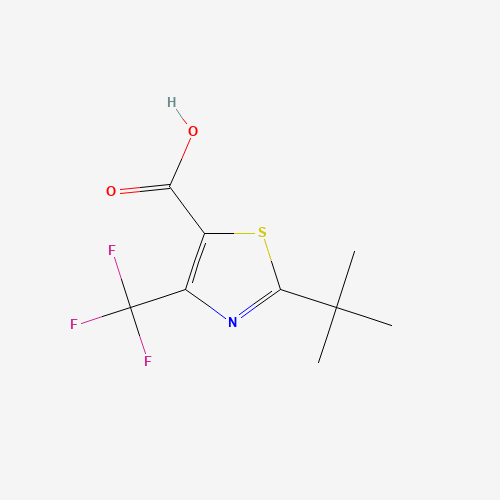 Click to see the large picture