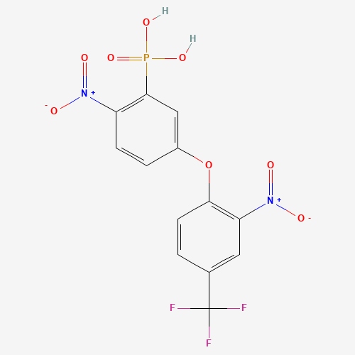 Click to see the large picture