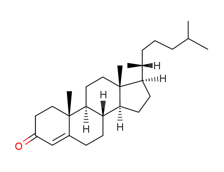Molecular Structure of 601-57-0 (4-Cholesten-3-one)