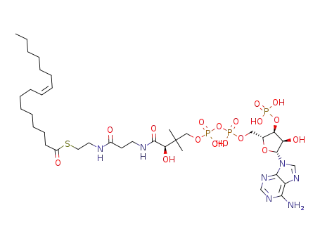 Palmitoleoyl-Coenzyme A