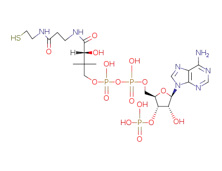 [[(2R,3S,4S,5R)-5-(6-aminopurin-9-yl)-4-hydroxy-3-phosphonooxyoxolan-2-yl]methoxy-hydroxyphosphoryl] [(3R)-3-hydroxy-2,2-dimethyl-4-oxo-4-[[3-oxo-3-(2-sulfanylethylamino)propyl]amino]butyl] hydrogen phosphate