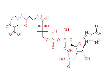 (2RS)-methylmalonyl-CoA