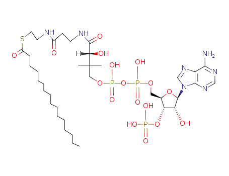 S-[2-[3-[[4-[[[(2R,3S,4R,5R)-5-(6-aminopurin-9-yl)-4-hydroxy-3-phosphonooxyoxolan-2-yl]methoxy-hydroxyphosphoryl]oxy-hydroxyphosphoryl]oxy-2-hydroxy-3,3-dimethylbutanoyl]amino]propanoylamino]ethyl] hexadecanethioate