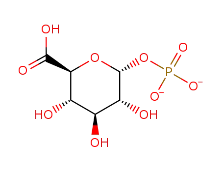 glucuronic acid 1-phosphate